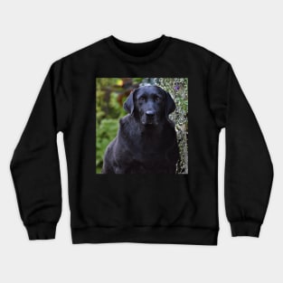 Longing Eyes Crewneck Sweatshirt